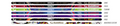 Goldline Impact Carbon Fiber Broom